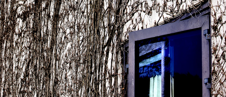 odense universitet adresse odense universitet adresse
